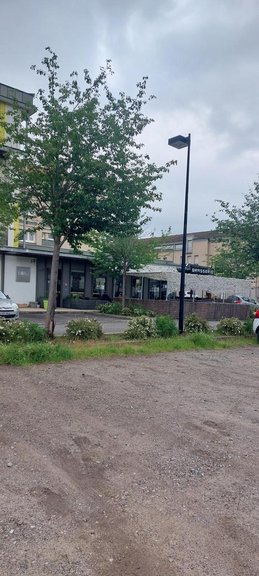 La Traboule Maison De Ville Avec Exterieur Aurec-Sur-Loire Luaran gambar